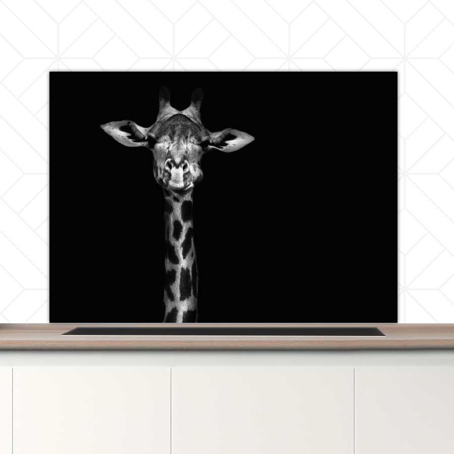 Spatscherm - Giraf