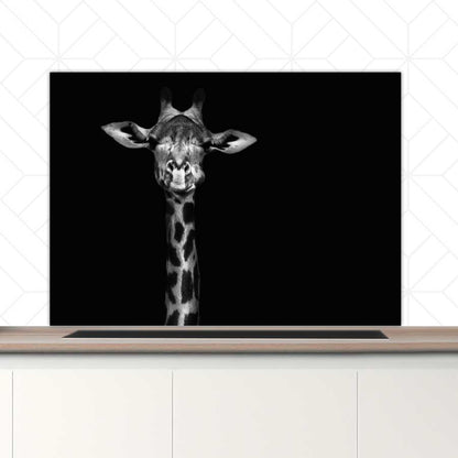 Spatscherm - Giraf