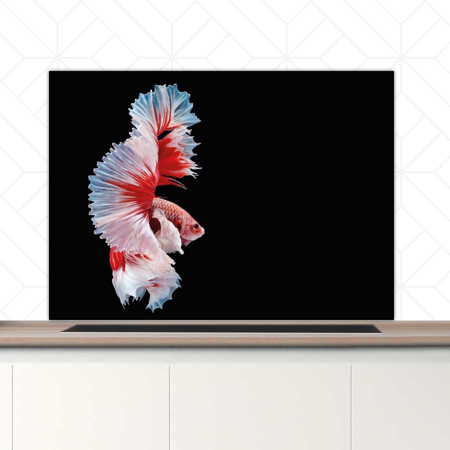Spatscherm - Betta vis