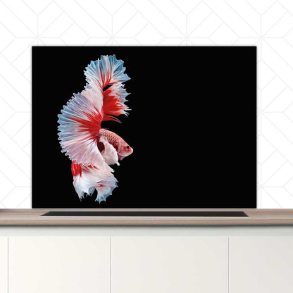 Spatscherm - Betta vis