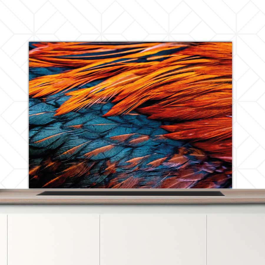 Spatscherm - Hanenveer