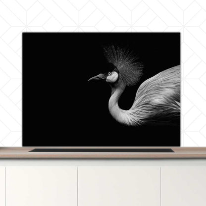 Spatscherm - Kraanvogel