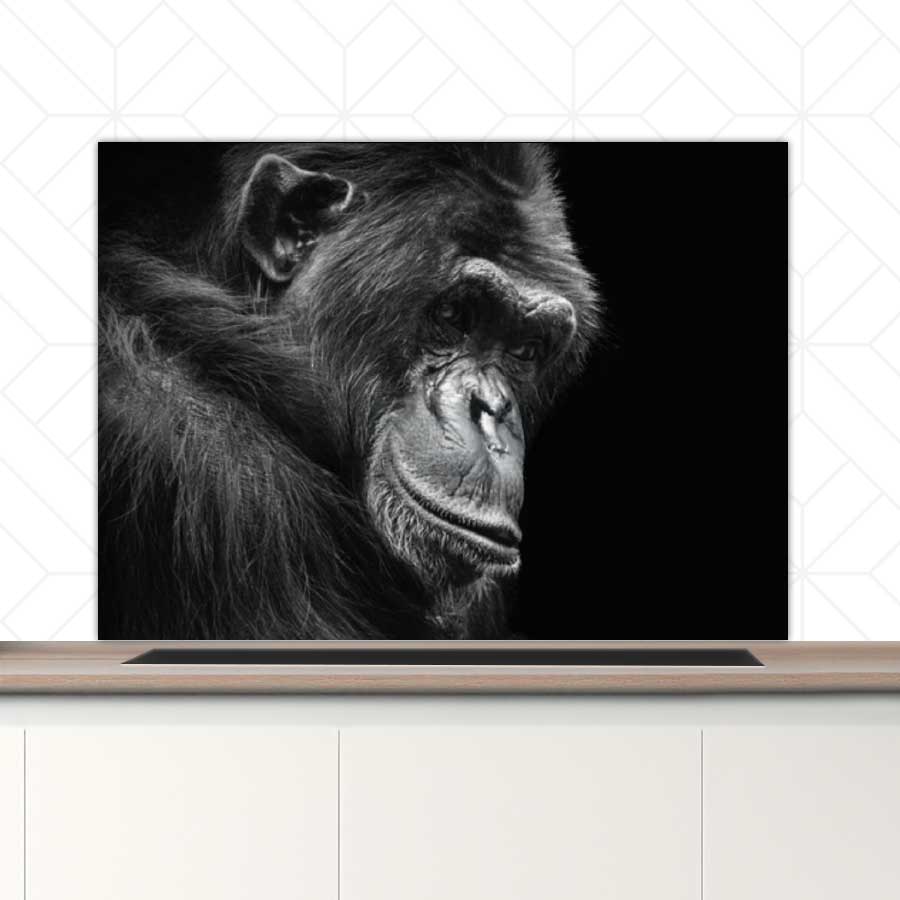 Spatscherm - Chimpansee