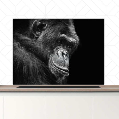 Spatscherm - Chimpansee