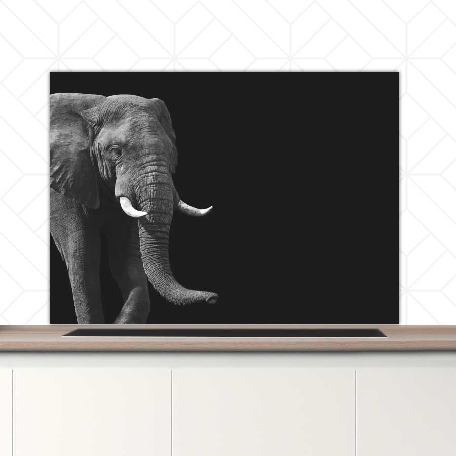 Spatscherm - Afrikaanse olifant