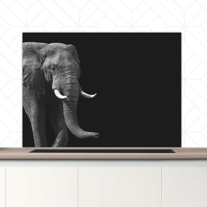 Spatscherm - Afrikaanse olifant