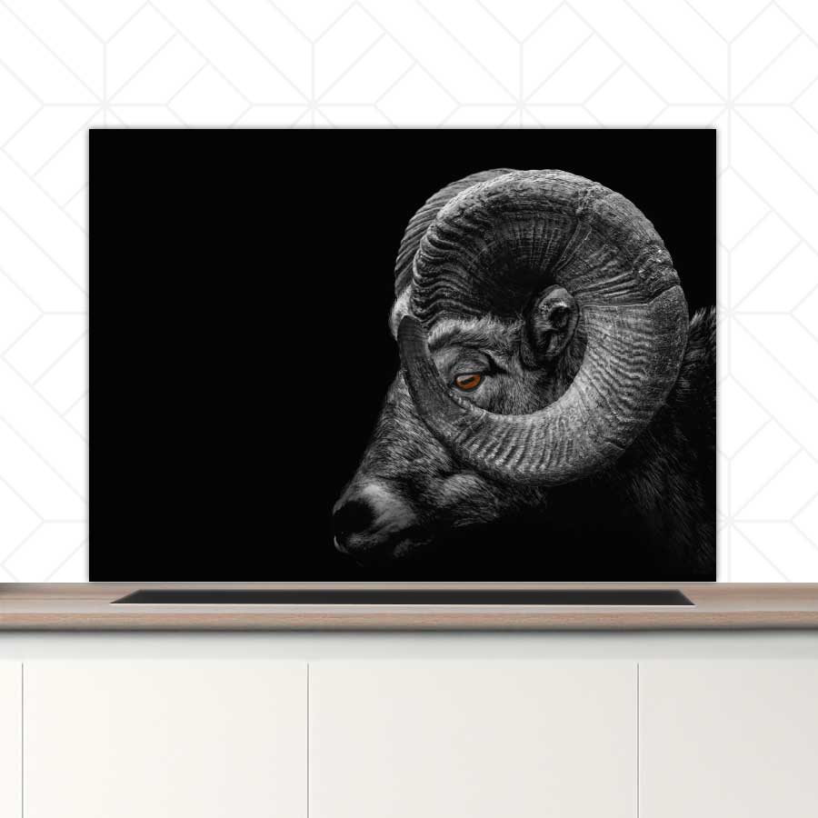 Spatscherm - Ram