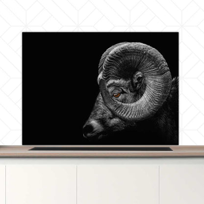 Spatscherm - Ram