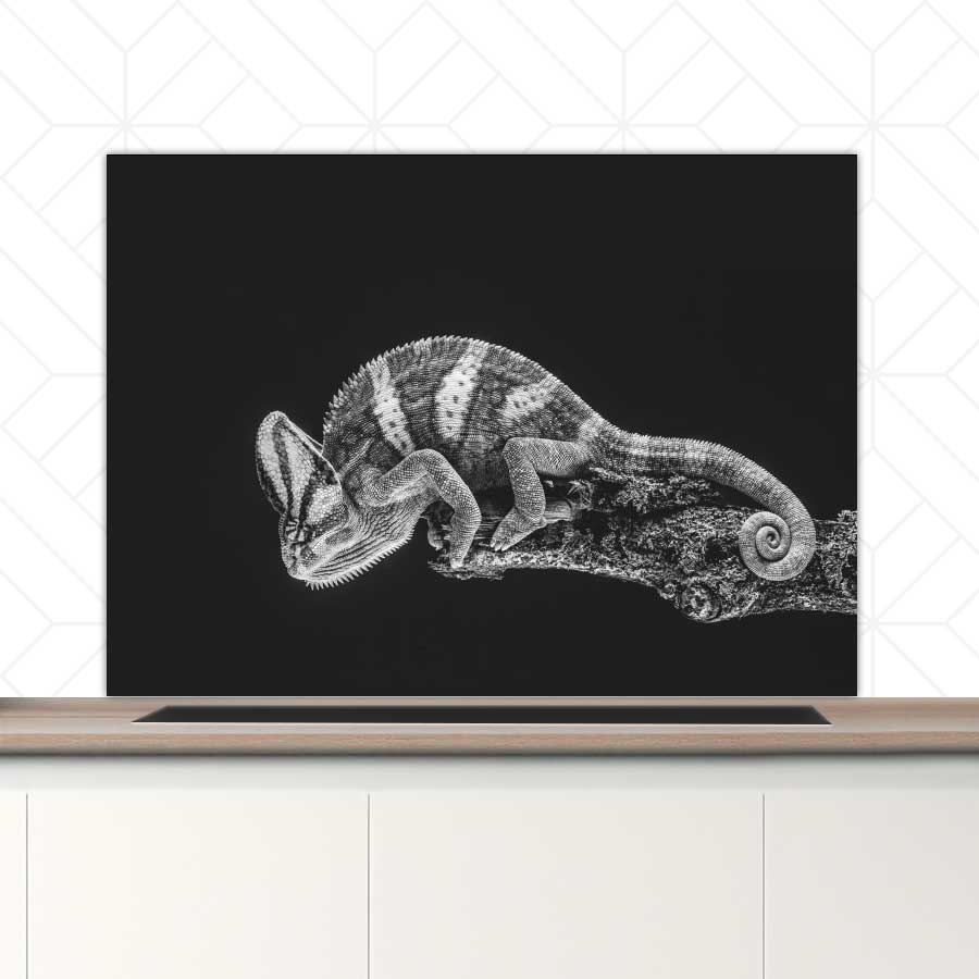 Spatscherm - Kameleon