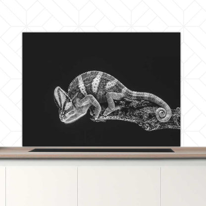 Spatscherm - Kameleon