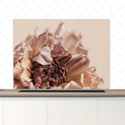 Spatscherm - Gedroogde chrysant