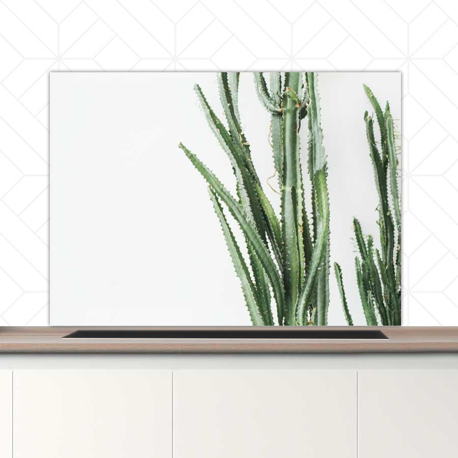 Spatscherm - Cactus