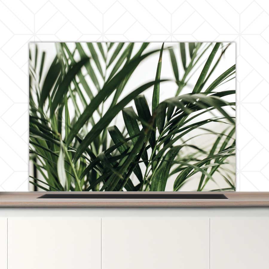 Spatscherm - Palm bladeren