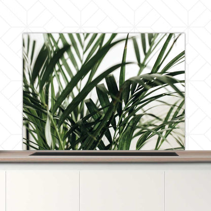 Spatscherm - Palm bladeren