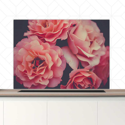 Spatscherm - Rozen close-up