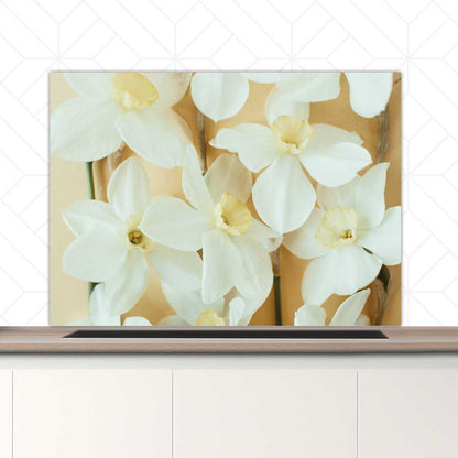 Spatscherm - Narcissen