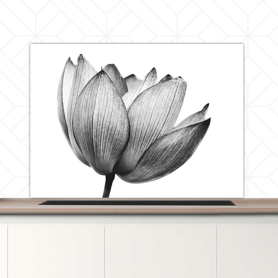 Spatscherm - Lotus in zwart-wit