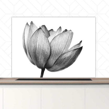 Spatscherm - Lotus in zwart-wit