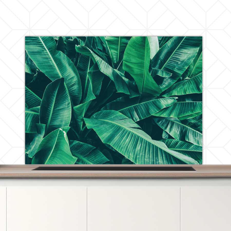 Spatscherm - Tropische bladeren