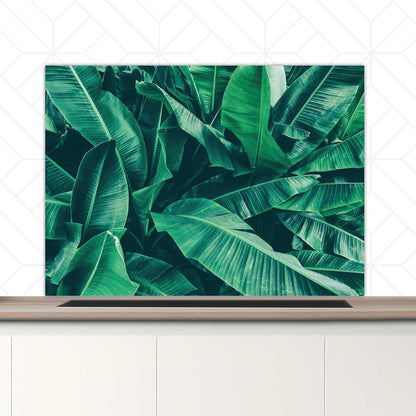 Spatscherm - Tropische bladeren