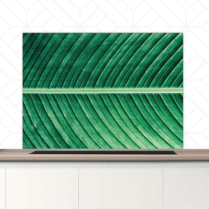 Spatscherm - Groen blad