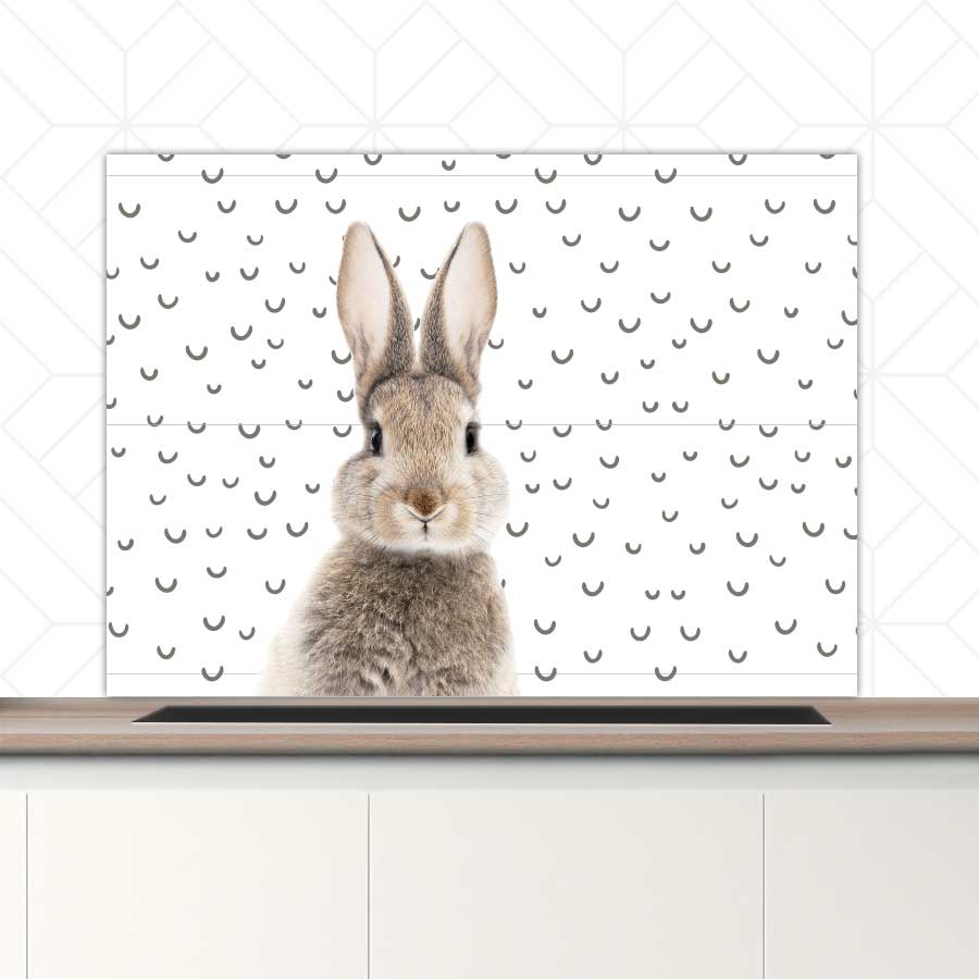 Spatscherm - Funny konijn fugler