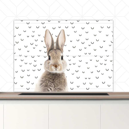 Spatscherm - Funny konijn fugler