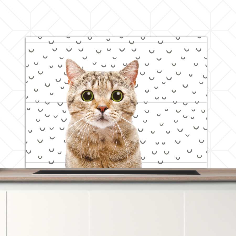 Spatscherm - Funny kat fugler