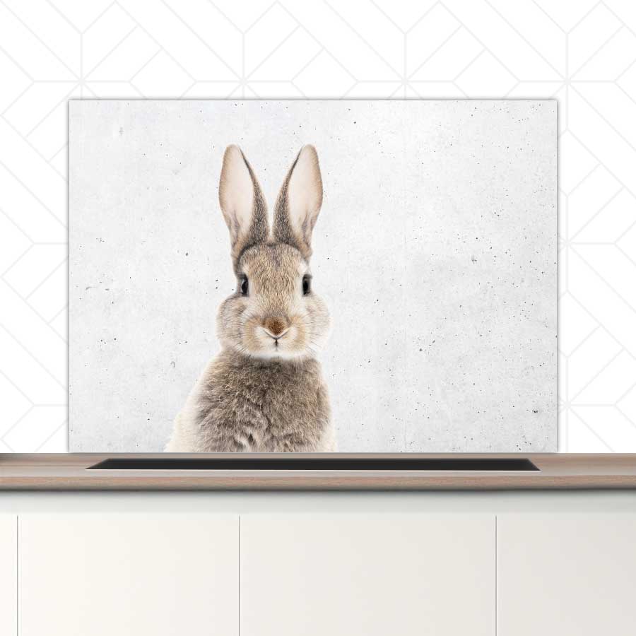 Spatscherm - Funny konijn beton