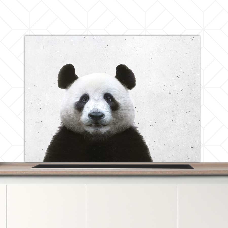 Spatscherm - Funny panda beton