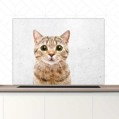 Spatscherm - Funny kat beton