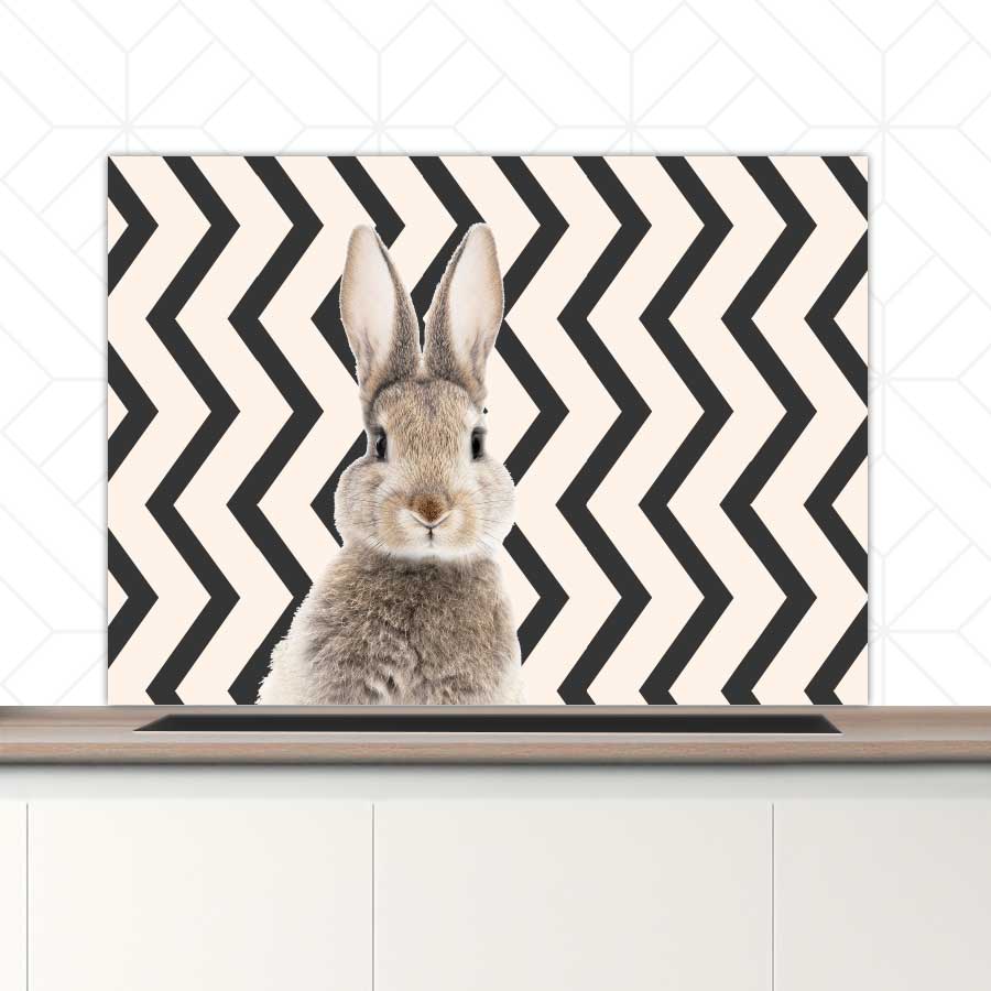 Spatscherm - Funny konijn zigzag