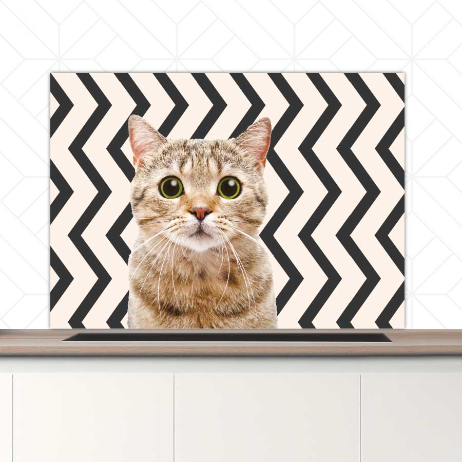 Spatscherm - Funny kat zigzag