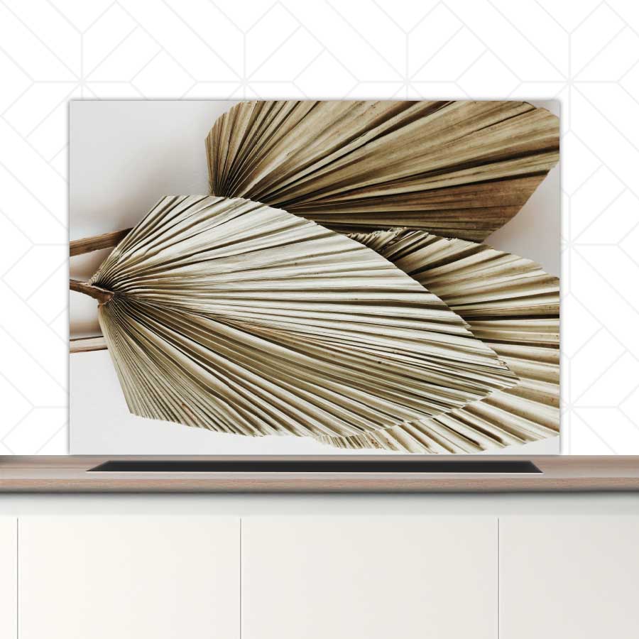 Spatscherm - Gedroogde palmbladeren