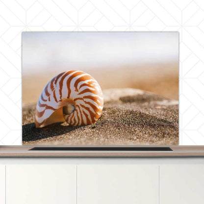 Spatscherm - Zeeschelp