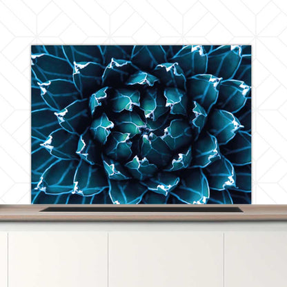 Spatscherm - Blauwe agave