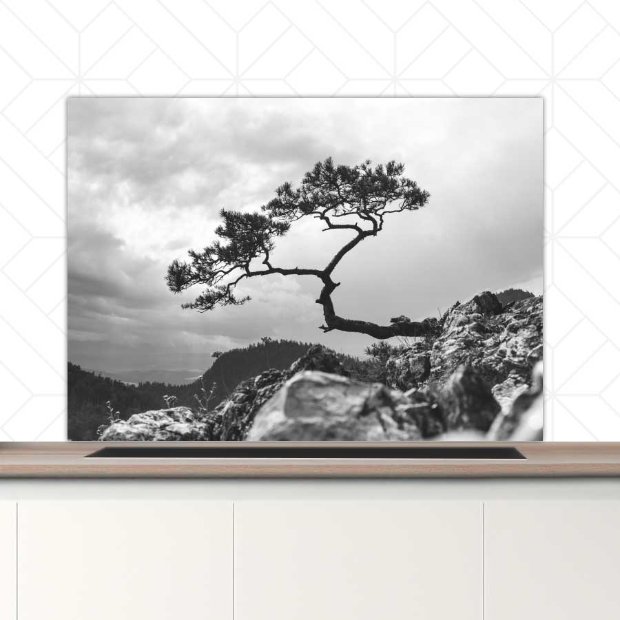 Spatscherm - Overhangende boom