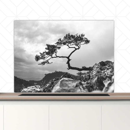 Spatscherm - Overhangende boom