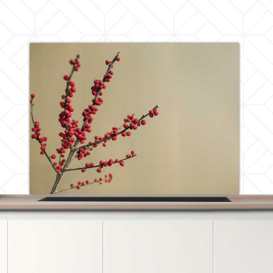 Spatscherm - Rode bessen