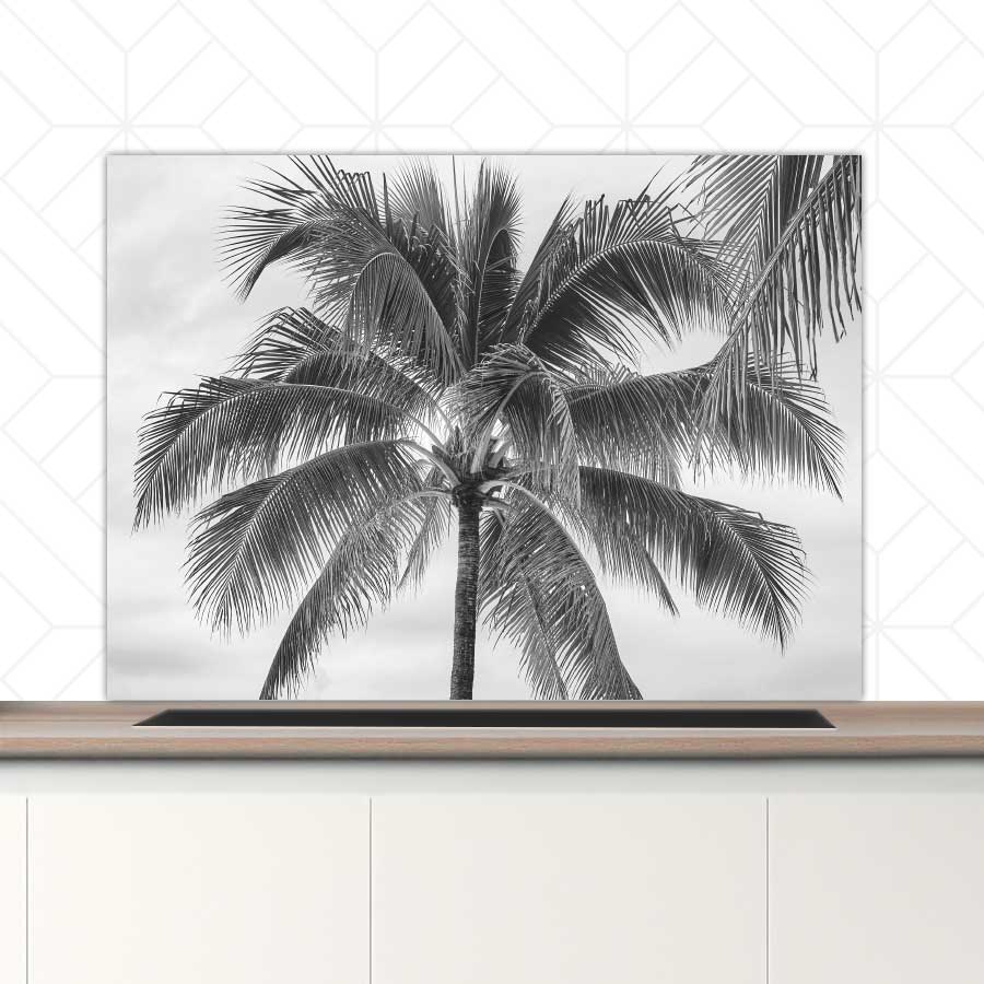 Spatscherm - Palmboom