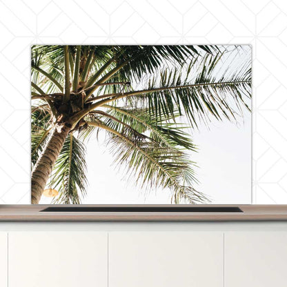 Spatscherm - Palmstrand