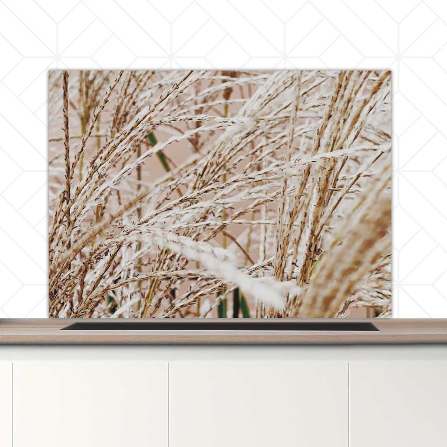 Spatscherm - Droge rietstengels