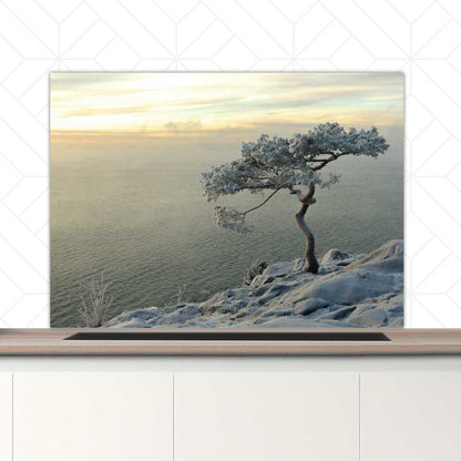 Spatscherm - Winterboom