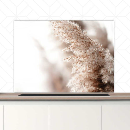 Spatscherm - Pampas gras