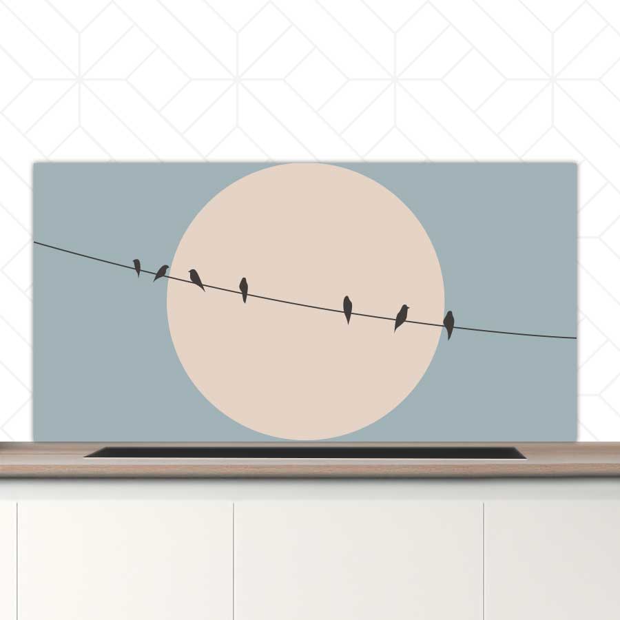 Spatscherm - Vogels op een draad