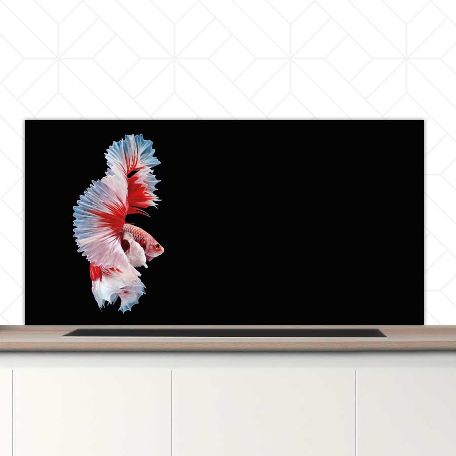 Spatscherm - Betta vis