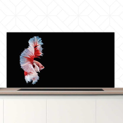 Spatscherm - Betta vis