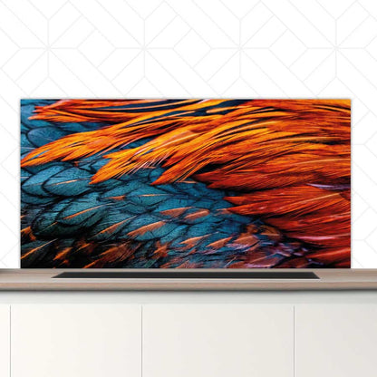 Spatscherm - Hanenveer