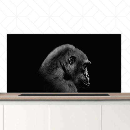 Spatscherm - Gorilla