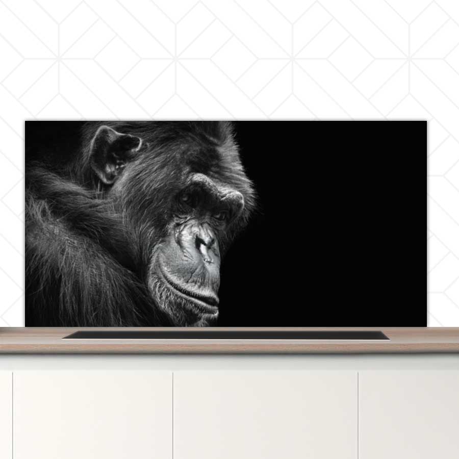 Spatscherm - Chimpansee